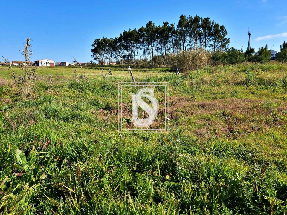 Terreno para Venda em Alqueidão Foto 7