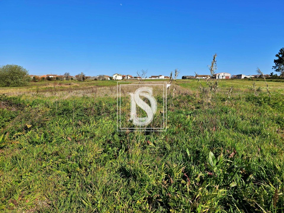 Terreno para Venda em Alqueidão Foto 21