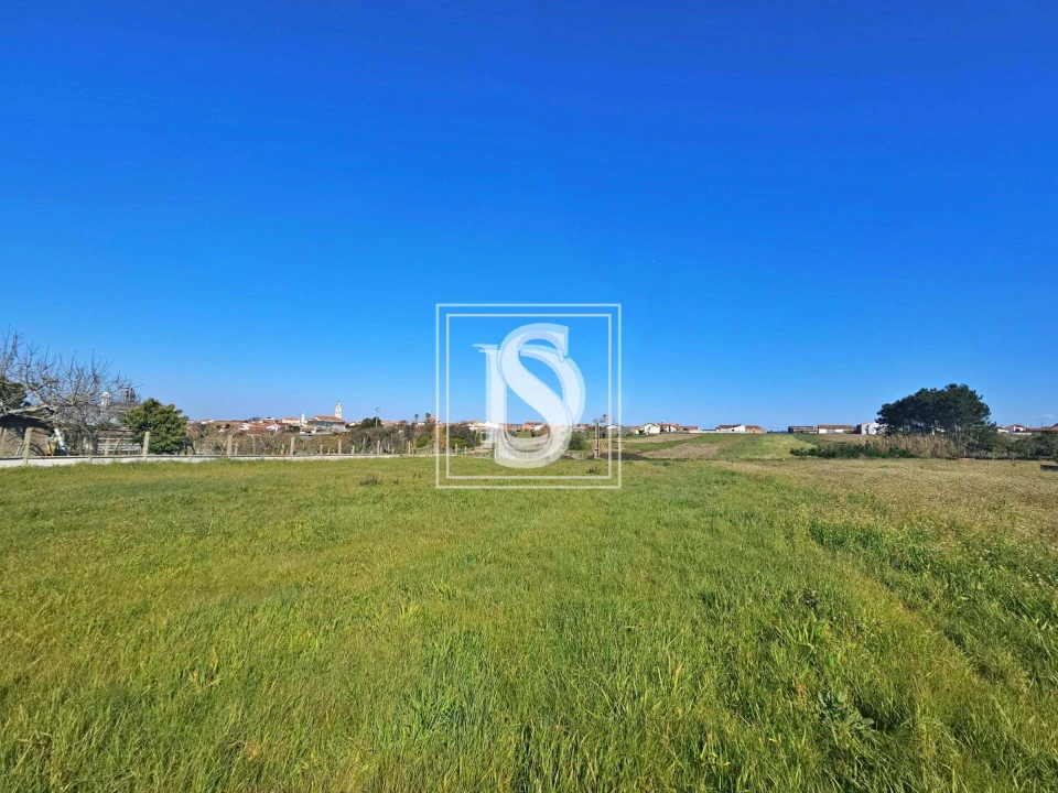 Terreno para Venda em Alqueidão Foto 22