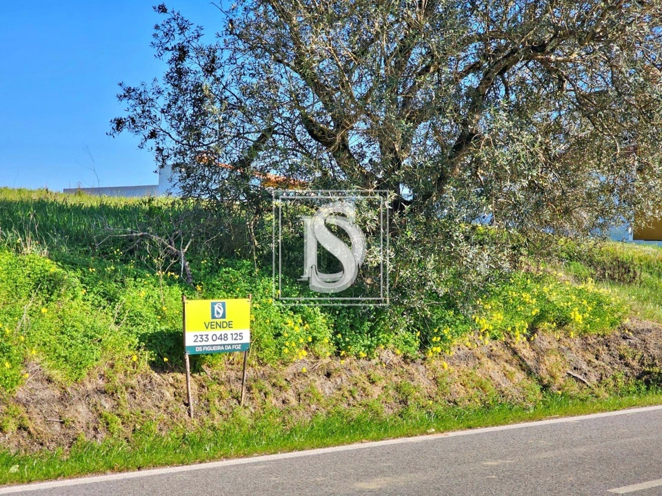 Terreno para Venda em Alqueidão Foto 10