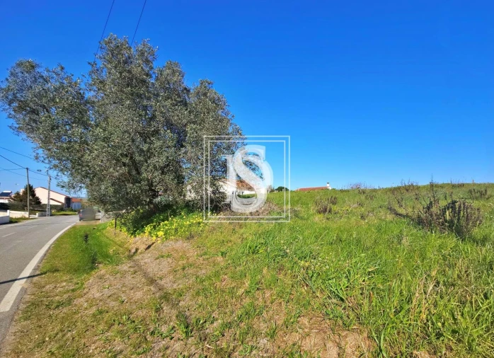 Terreno para Venda em Alqueidão Foto 17
