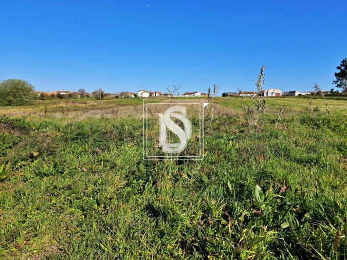 Terreno para Venda em Alqueidão Foto 21