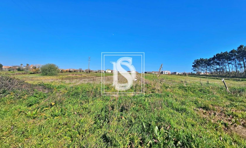 Terreno para Venda em Alqueidão Foto 18