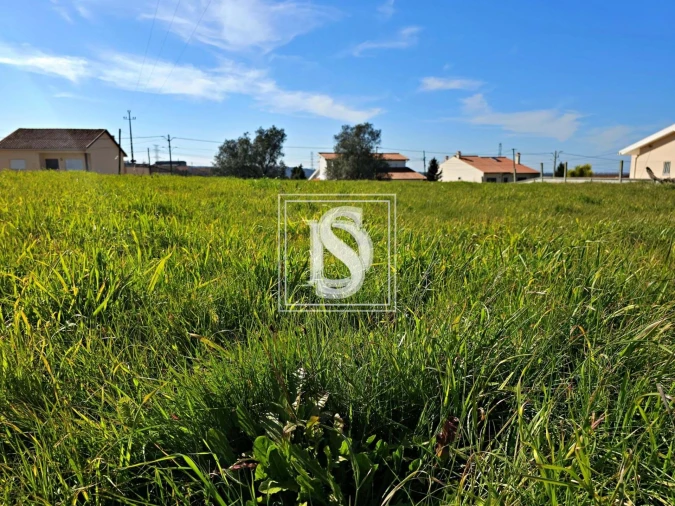 Terreno para Venda em Alqueidão Foto 20