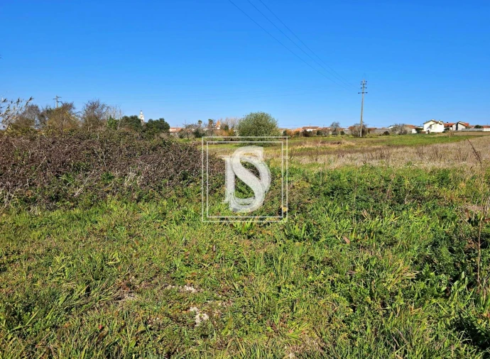 Terreno para Venda em Alqueidão Foto 14