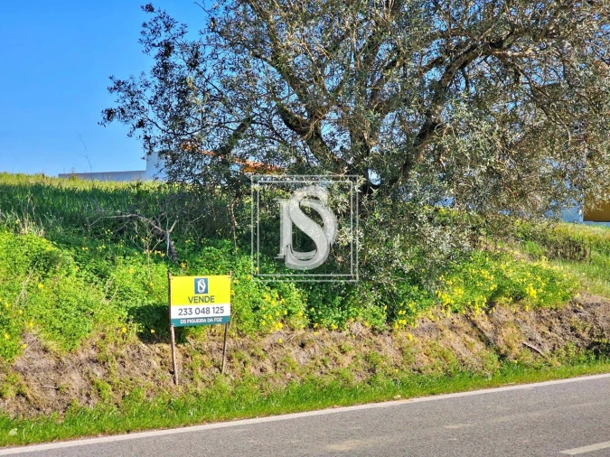 Terreno para Venda em Alqueidão Foto 10