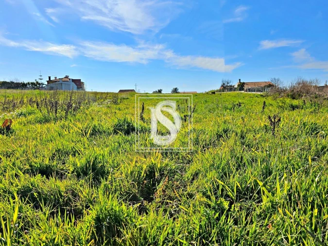 Terreno para Venda em Alqueidão Foto 24