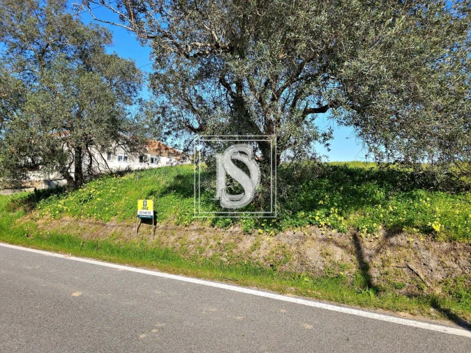 Terreno para Venda em Alqueidão Foto 9