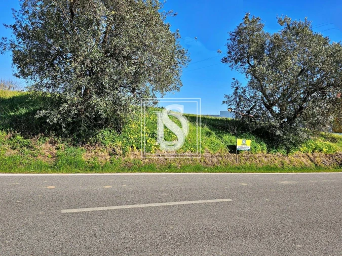 Terreno para Venda em Alqueidão Foto 23