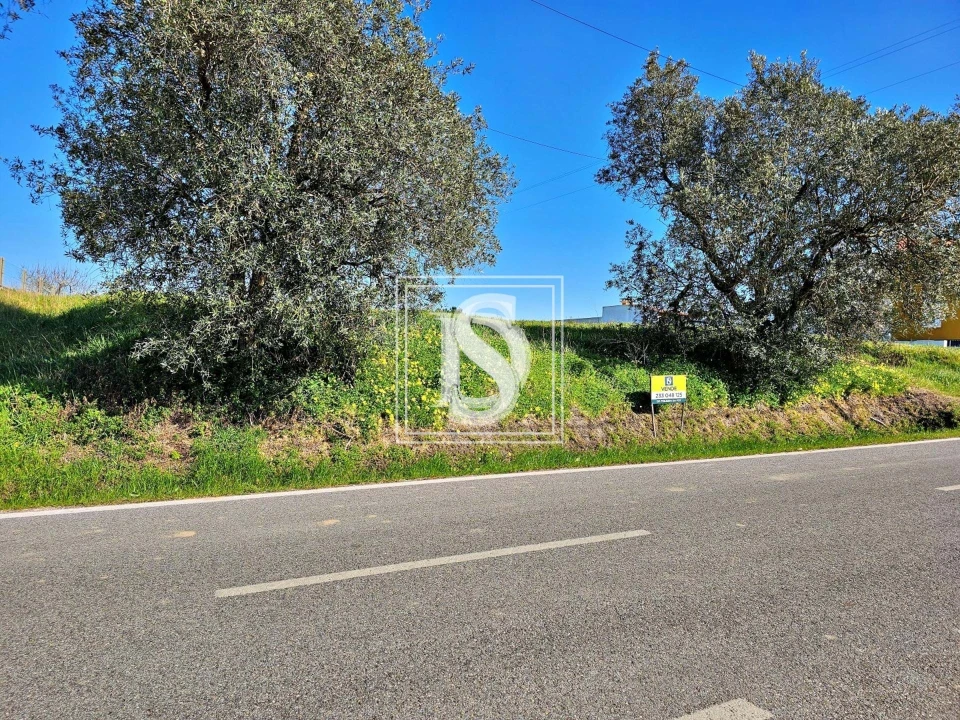 Terreno para Venda em Alqueidão Foto 11