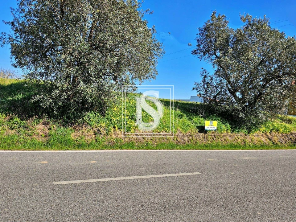 Terreno para Venda em Alqueidão Foto 23