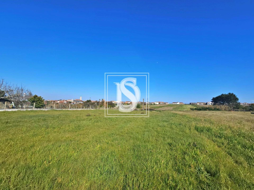Terreno para Venda em Alqueidão Foto 15