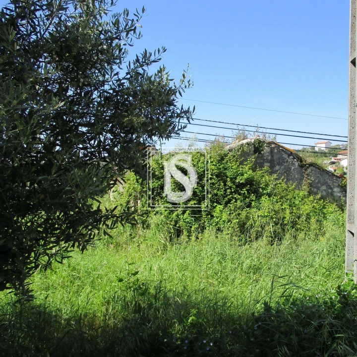 Terreno para Venda em Maiorca Foto 2
