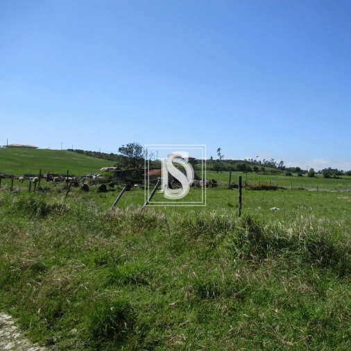 Terreno para Venda em Maiorca