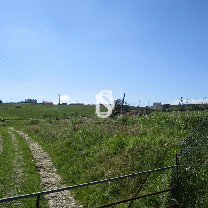 Terreno para Venda em Maiorca Foto 4