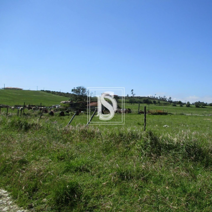 Terreno para Venda em Maiorca Foto 1