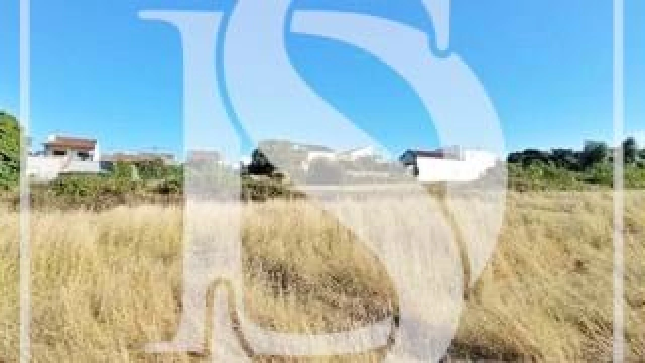 Terreno para Venda em Maiorca Foto 3