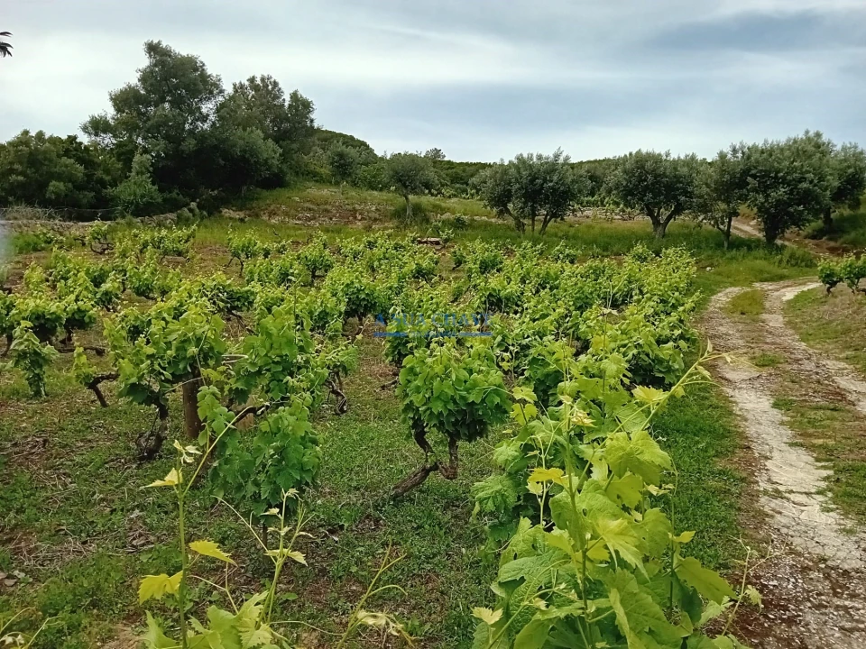 Terreno para Venda em Palmela Foto 7