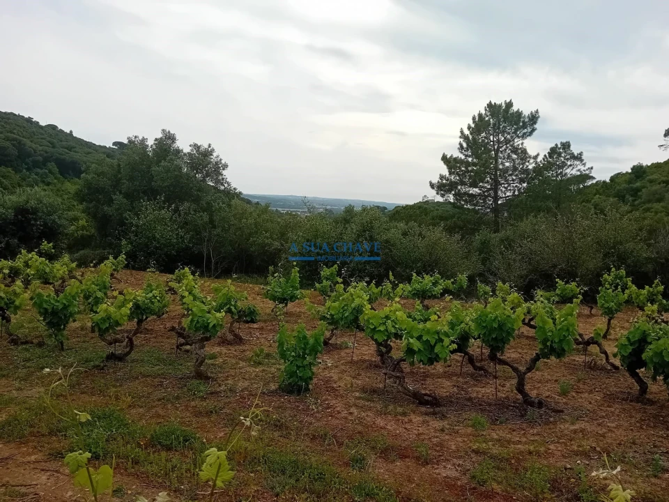 Terreno para Venda em Palmela Foto 13