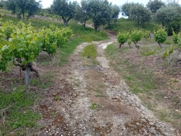 Terreno para Venda em Palmela