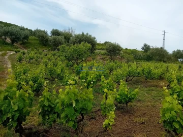 Terreno para Venda em Palmela