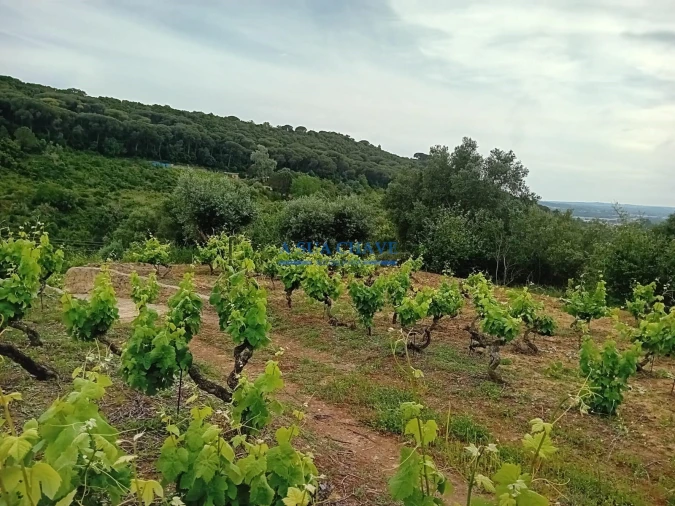 Terreno para Venda em Palmela Foto 14