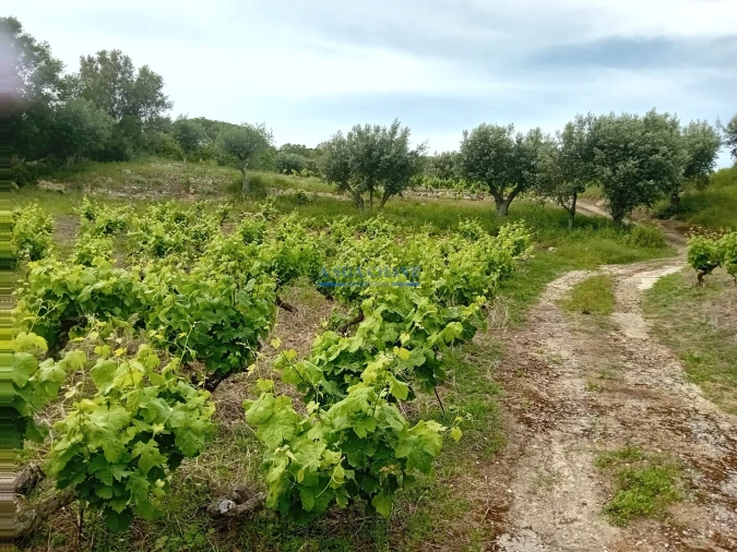 Terreno para Venda em Palmela Foto 4