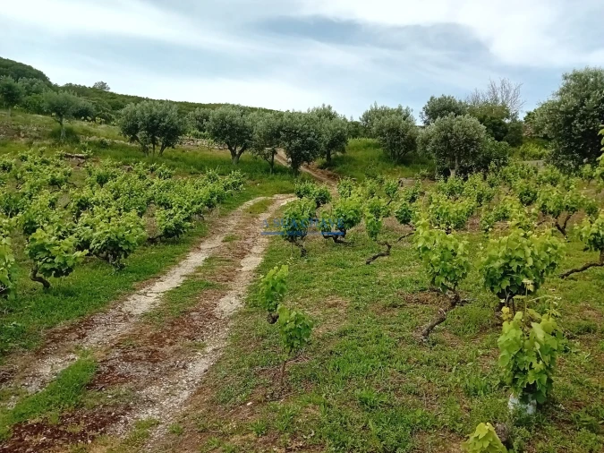 Terreno para Venda em Palmela Foto 8