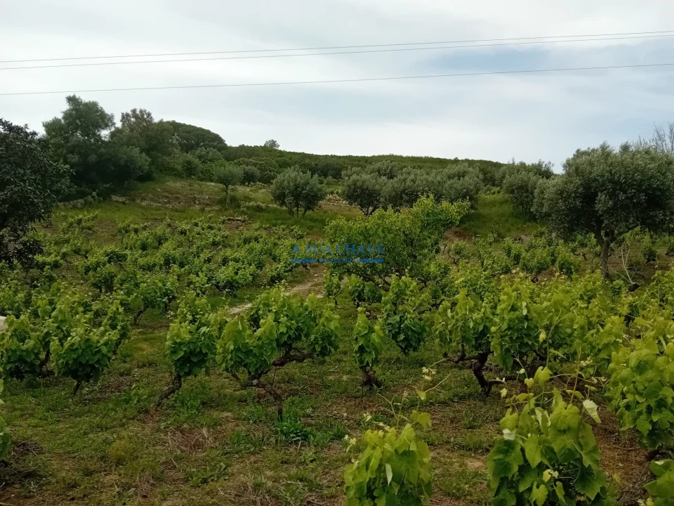 Terreno para Venda em Palmela Foto 5