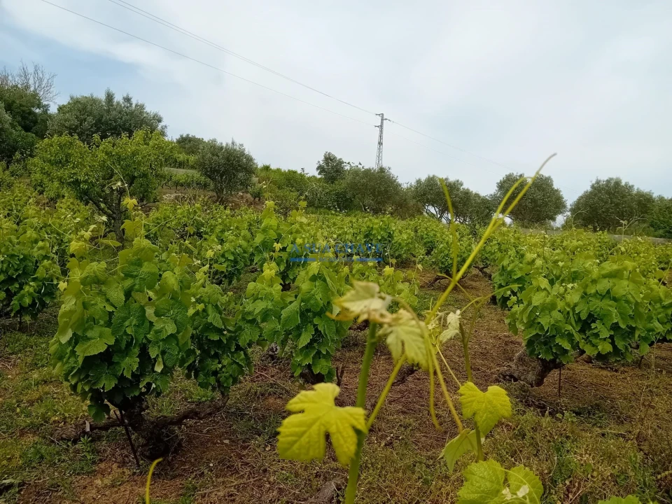 Terreno para Venda em Palmela Foto 11