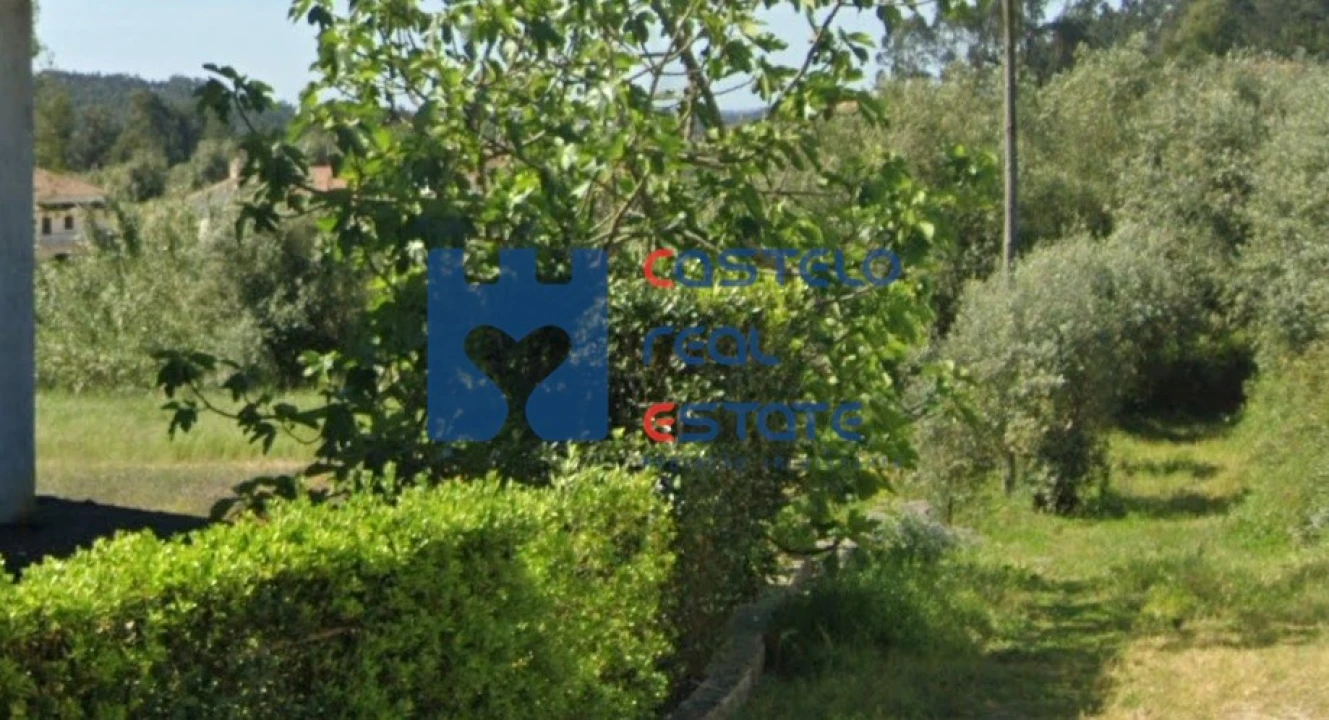 Terreno para Venda em Milagres Foto 2