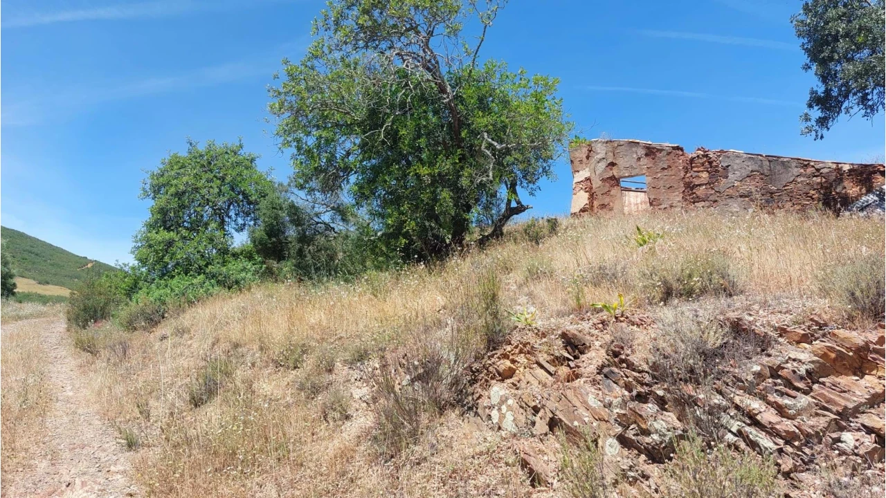 Quinta T4 para Venda em Alferce Foto 38