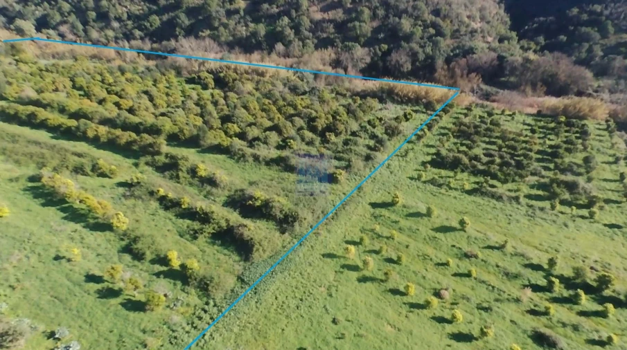 Quinta T4 para Venda em Alferce Foto 6