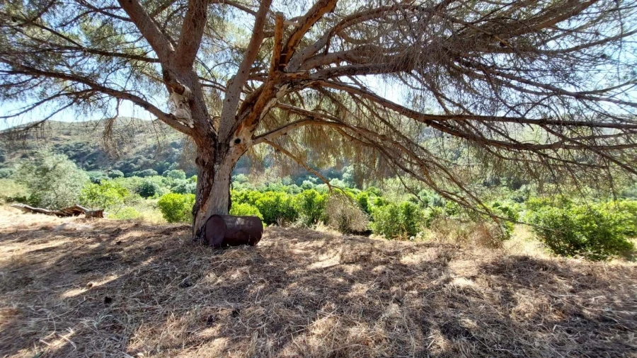 Quinta T4 para Venda em Alferce Foto 16