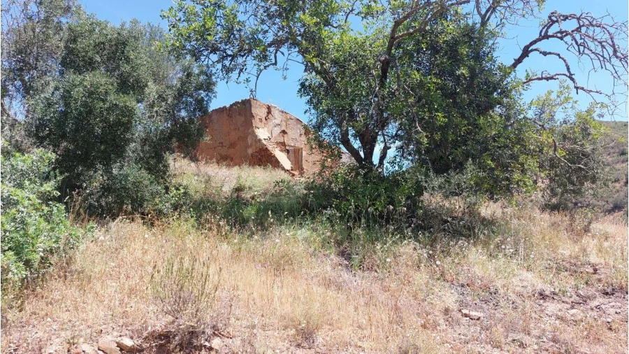 Quinta T4 para Venda em Alferce Foto 36