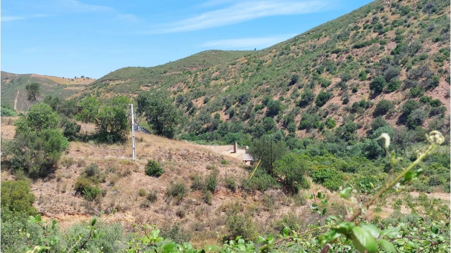 Quinta T4 para Venda em Alferce Foto 32