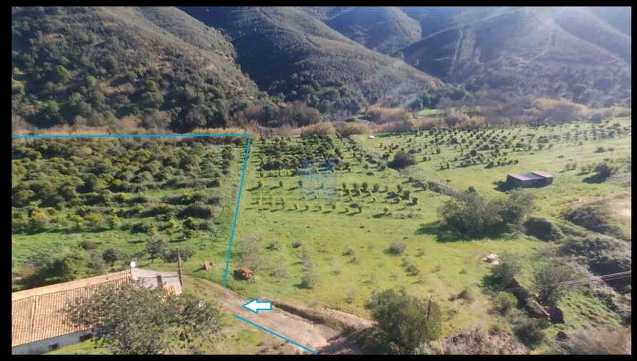 Quinta T4 para Venda em Alferce Foto 47