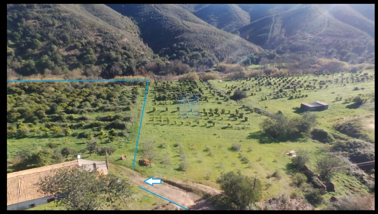 Quinta T4 para Venda em Alferce Foto 57