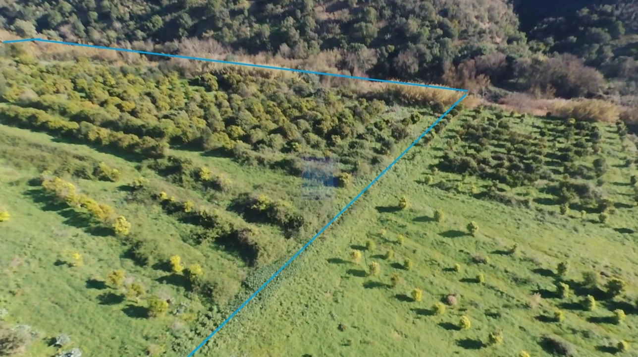 Quinta T4 para Venda em Alferce Foto 51