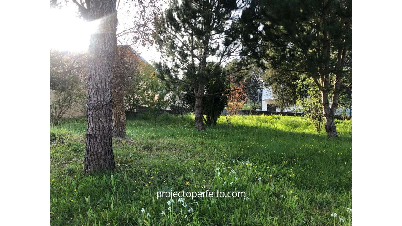 Terreno para Venda em Fiães Foto 6