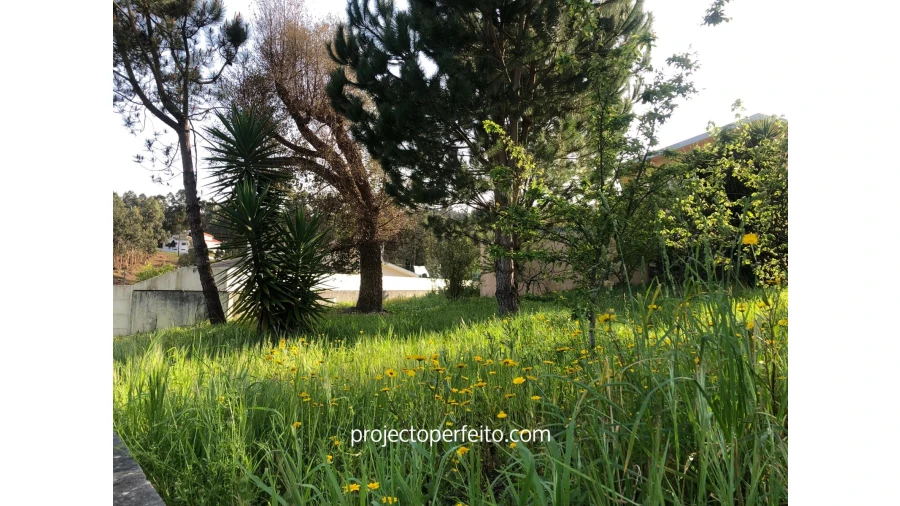 Terreno para Venda em Fiães Foto 3