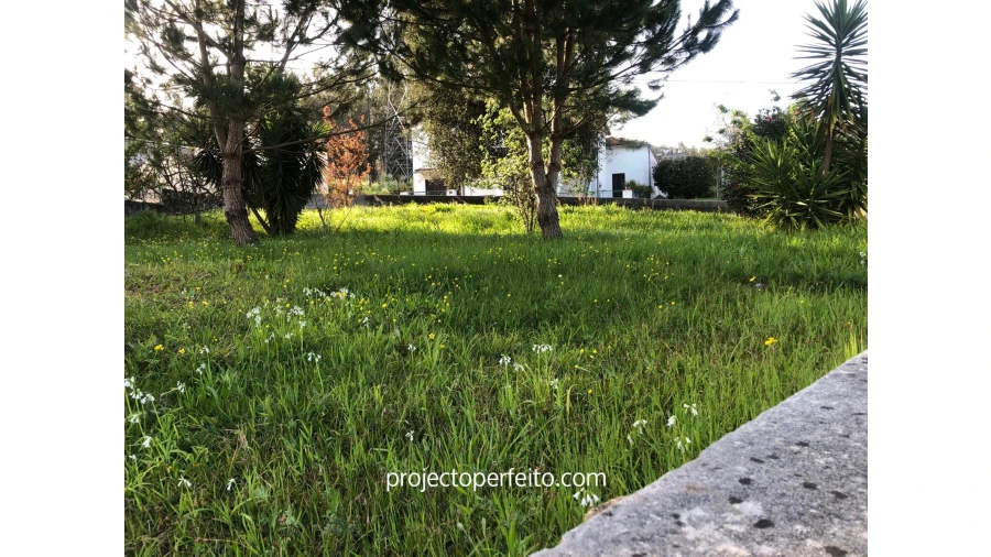 Terreno para Venda em Fiães Foto 5