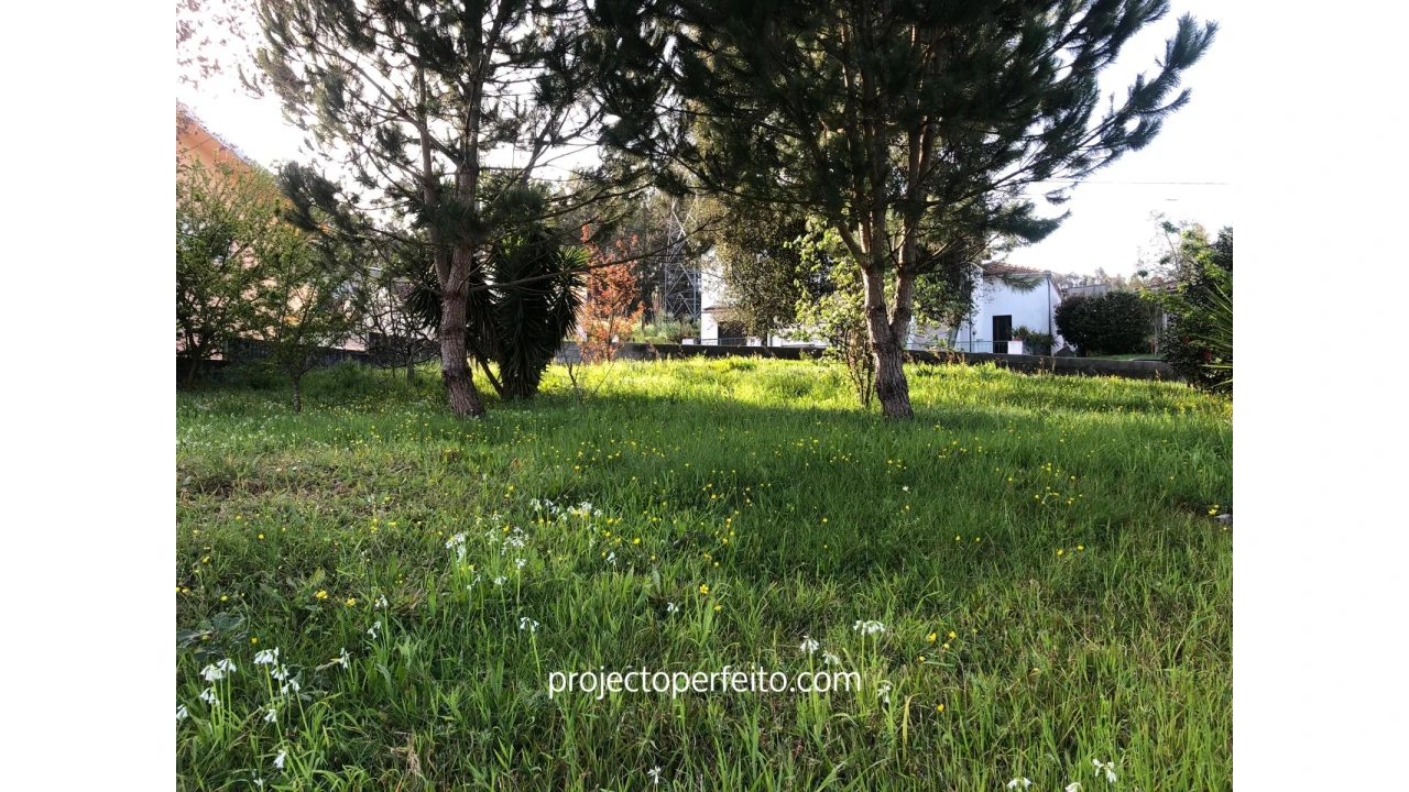 Terreno para Venda em Fiães Foto 4