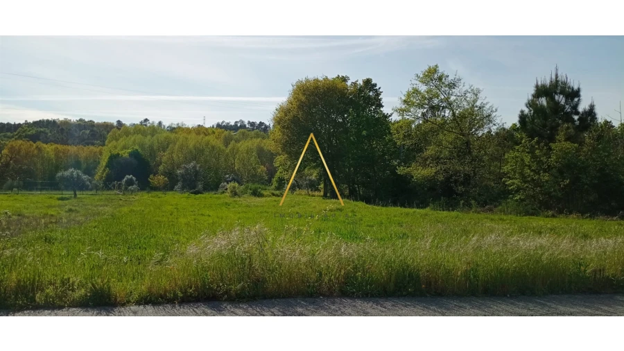 Terreno para Venda em Couto de Baixo e Couto de Cima Foto 2