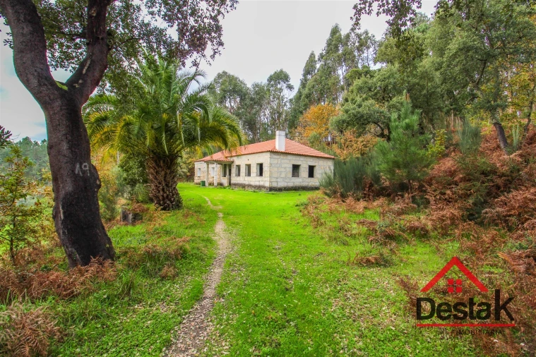 Quinta T0 para Venda em Pinho Foto 17