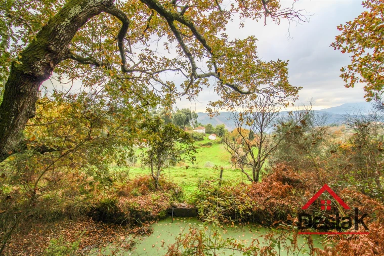 Quinta T0 para Venda em Pinho Foto 22