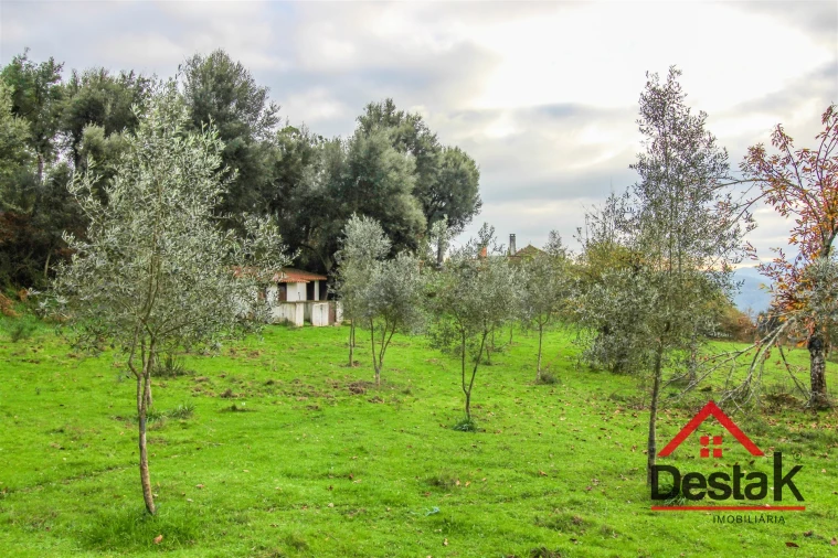 Quinta T0 para Venda em Pinho Foto 14