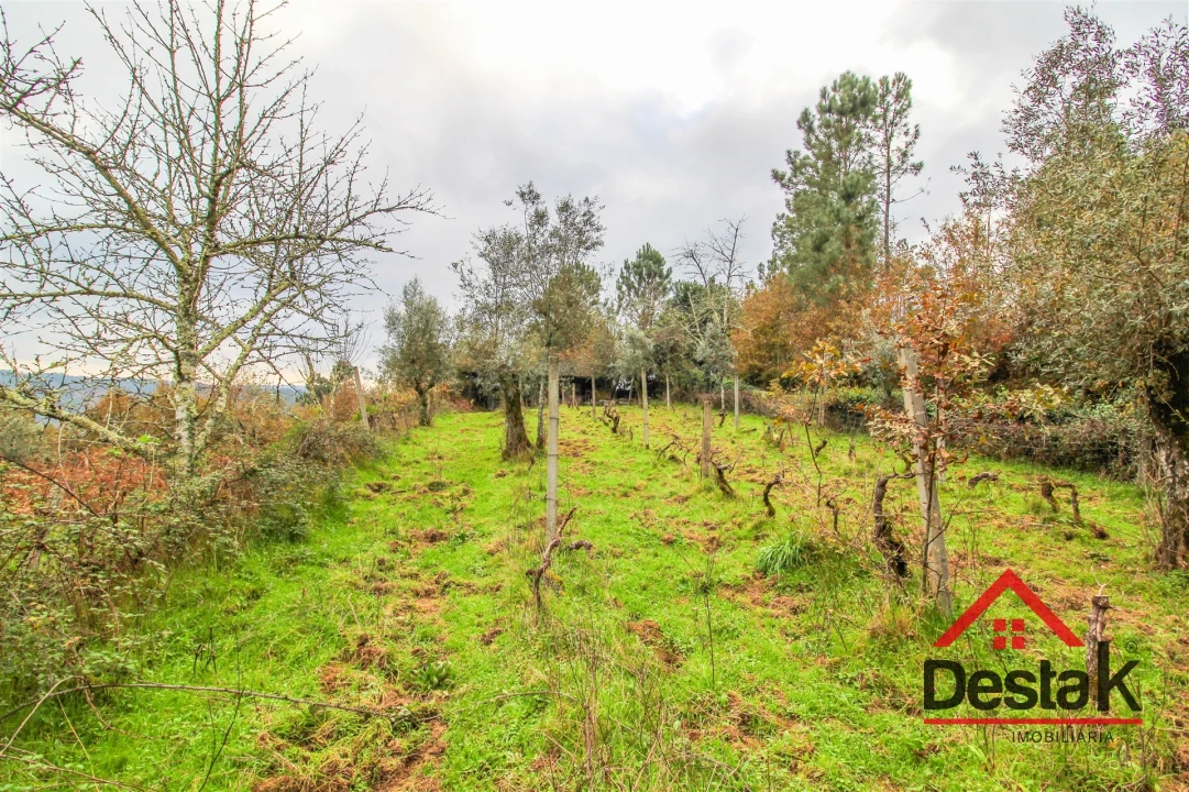 Quinta T0 para Venda em Pinho Foto 21