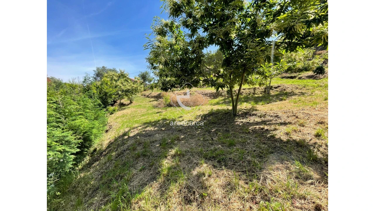 Terreno para Venda em Rio Frio Foto 16