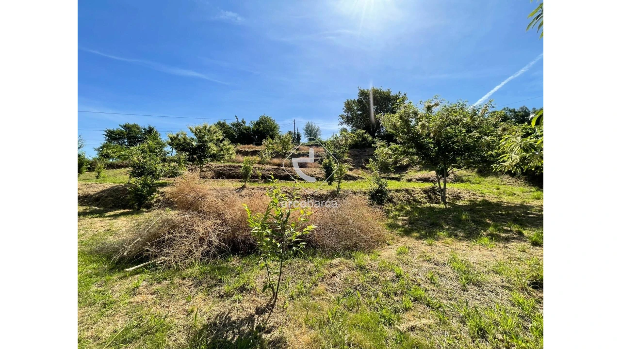 Terreno para Venda em Rio Frio Foto 17